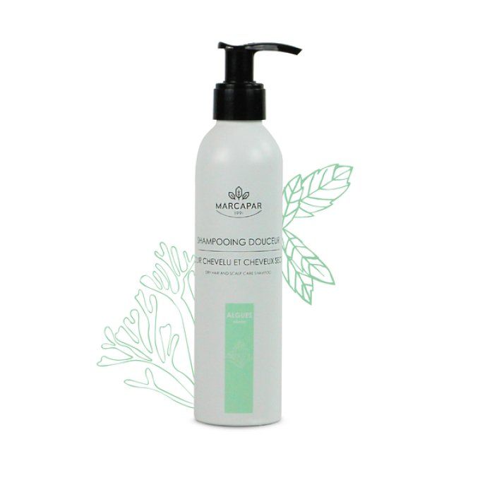 Shampoing aux algues - Soin du cheveu -